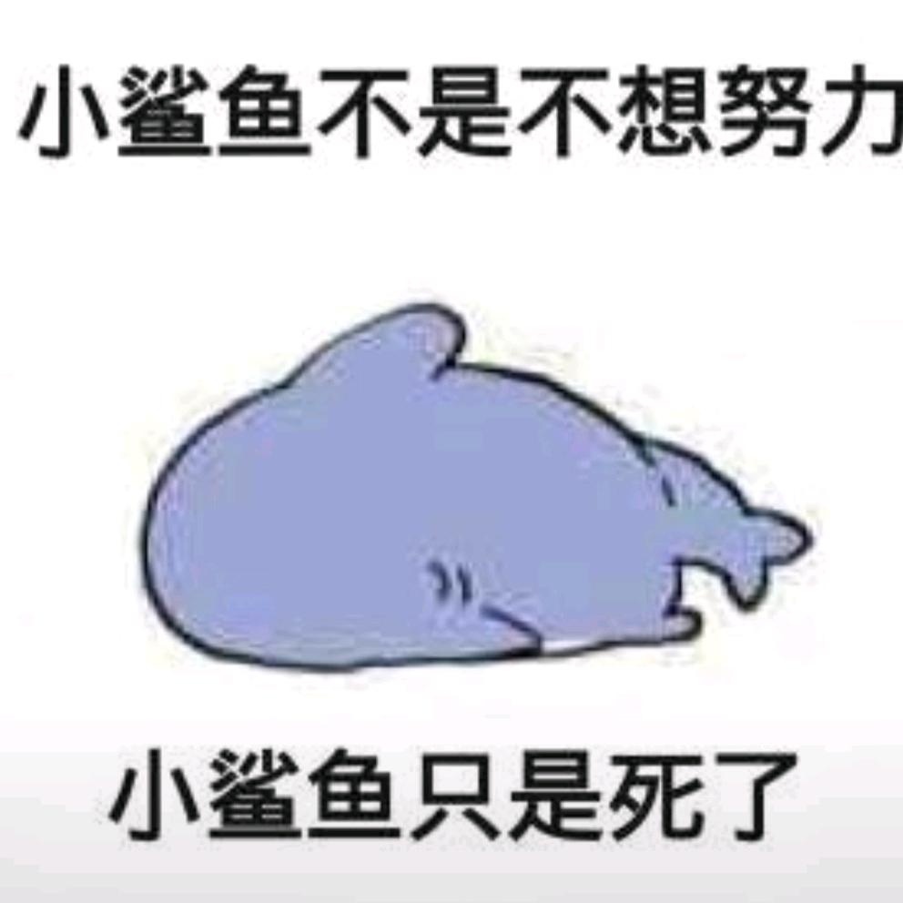 懒得想名字了