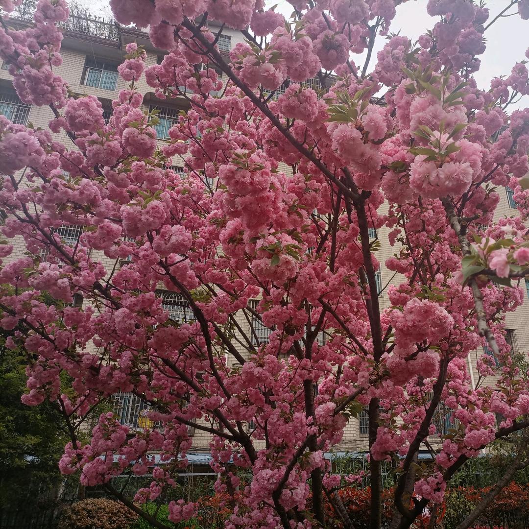 陕西人在六盘水