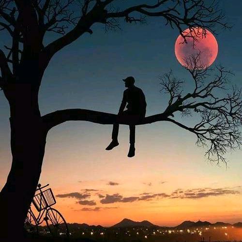 深街酒徒