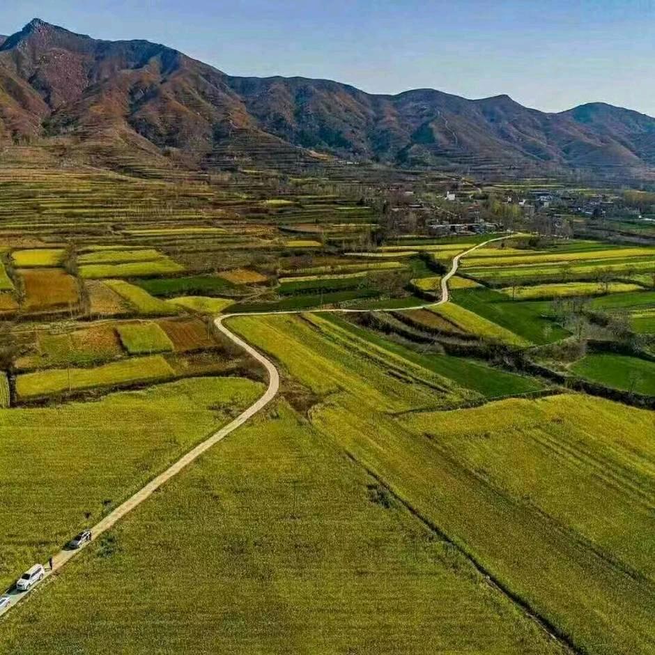 依然是我🌺