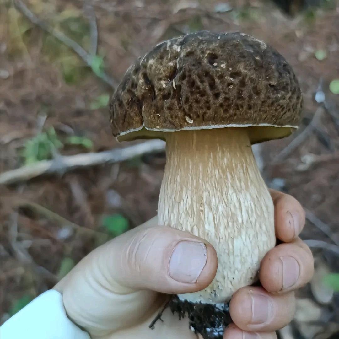 出门求财财到手，天上财神跟我走。