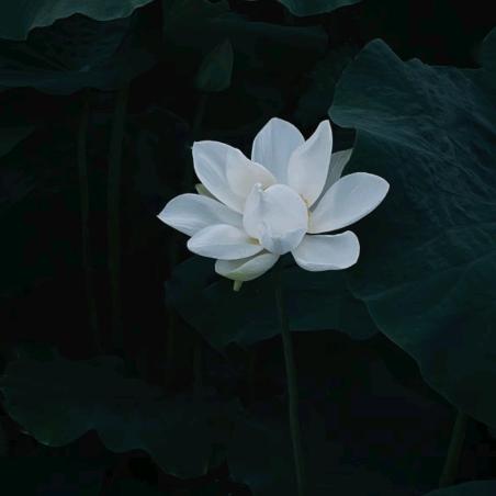 牧雲