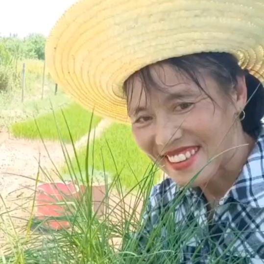 竹山大妈(农产品)