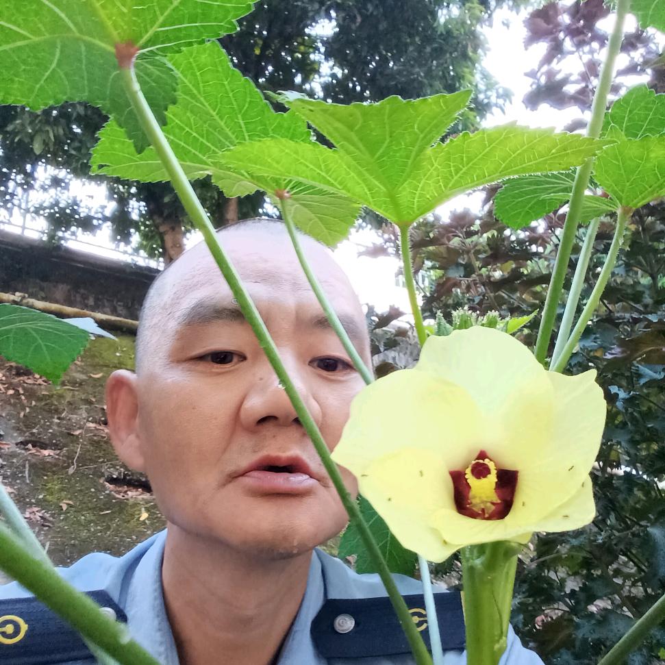 啊辞头像