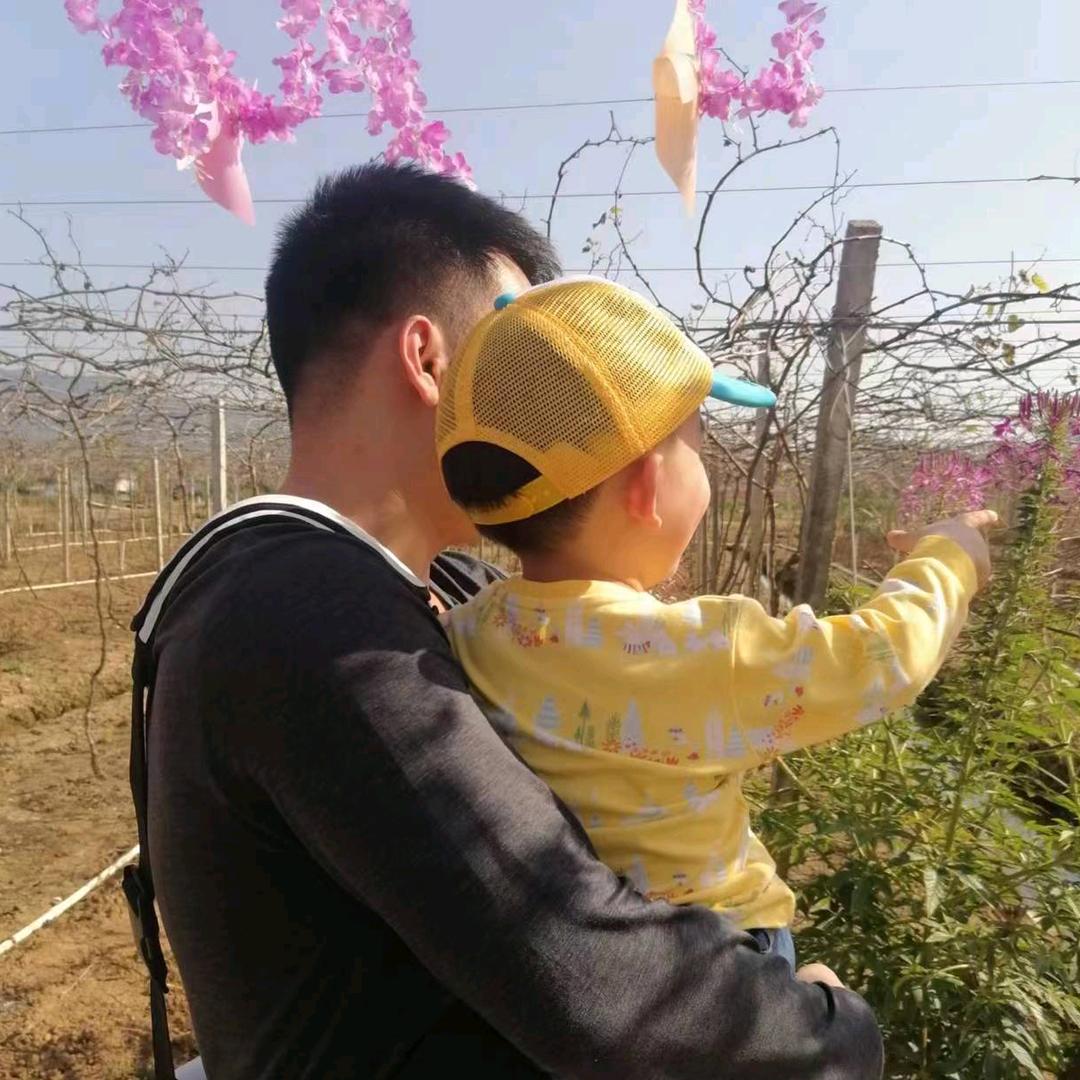 灰机来了