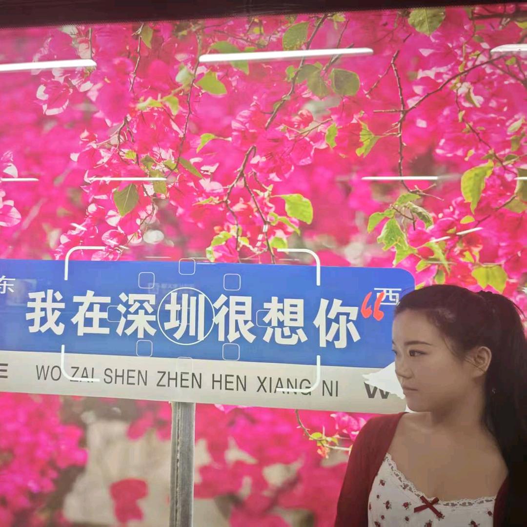 董小姐