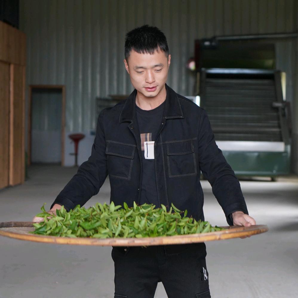 制茶人张金累（武夷岩茶）
