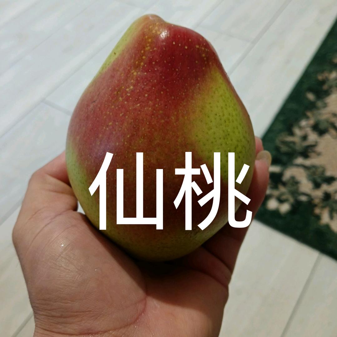 小小宝宝