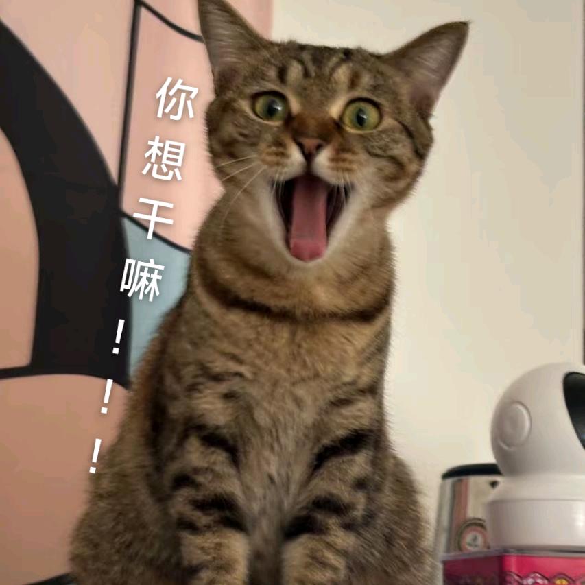 只喝三分糖˃ʍ˂，
