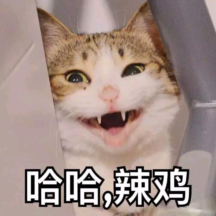汤圆子睡了吗?