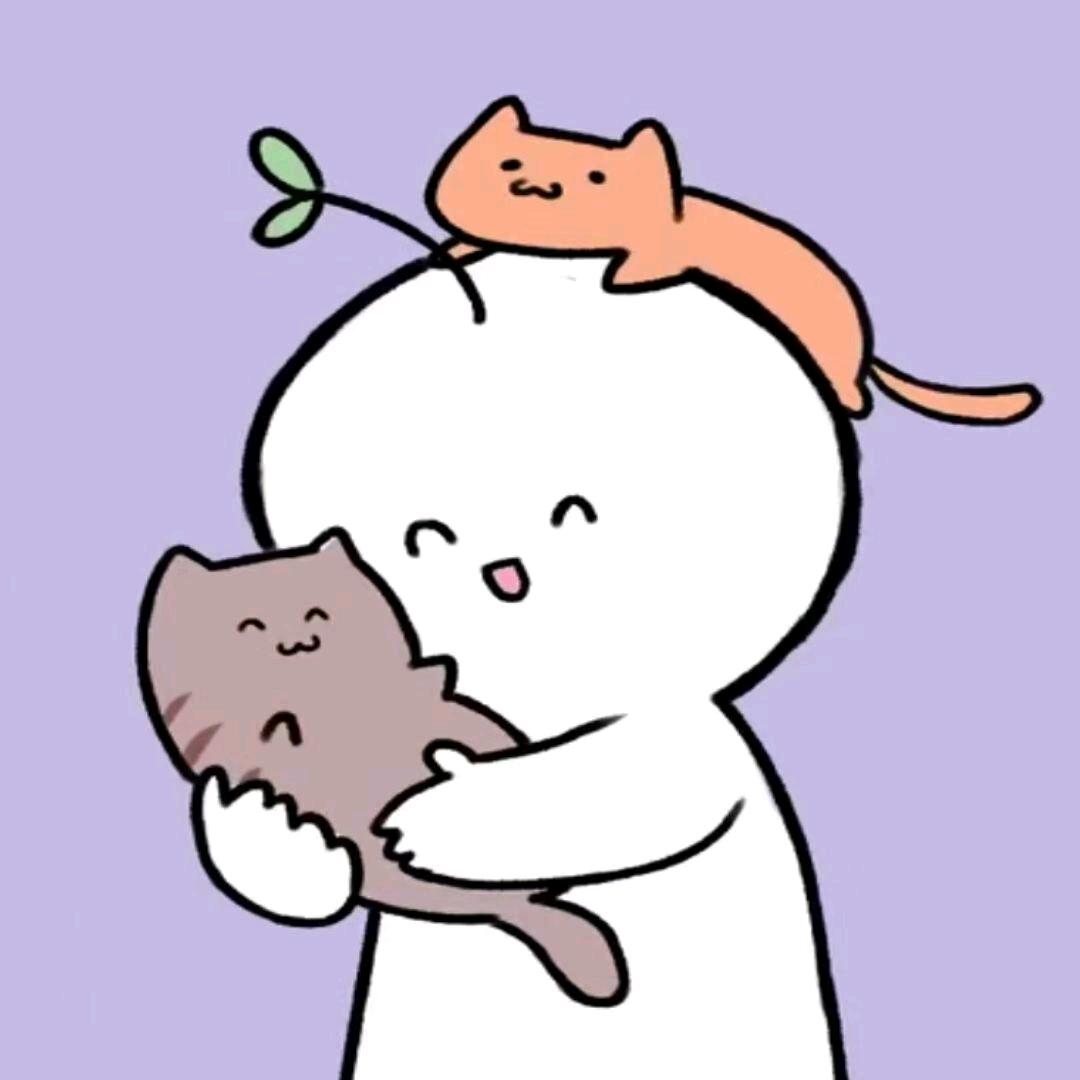 爆炒鸽子——