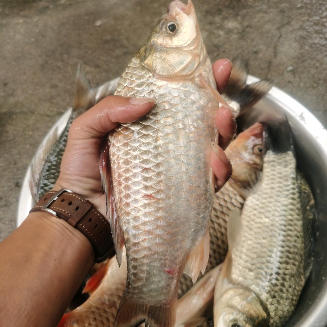 迎風༂踏浪