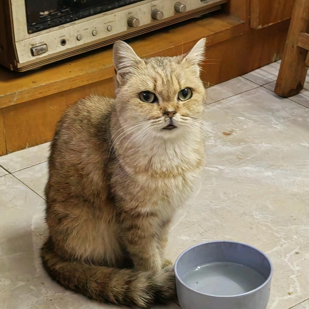 衣拉客
