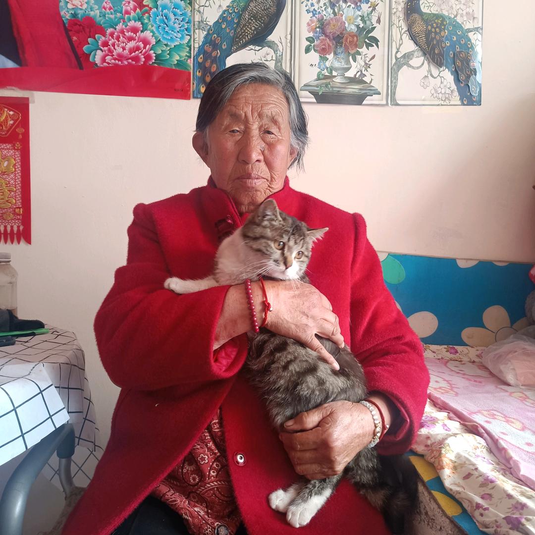 好运来66888
