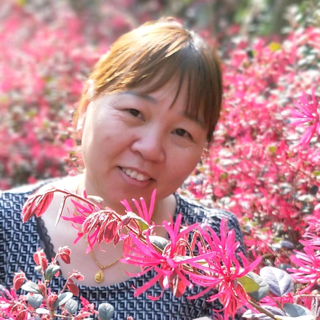 🌹春天美好🌷