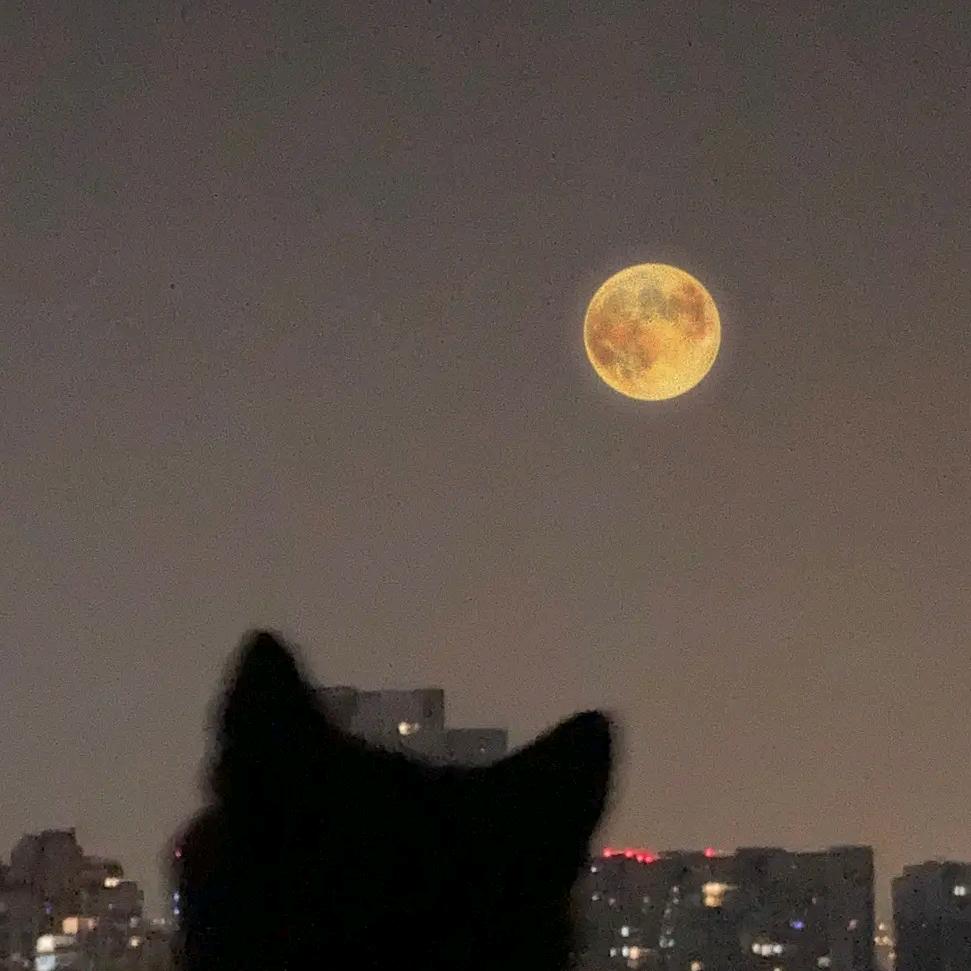 加州之