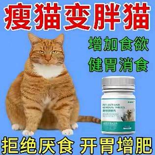 月半猫