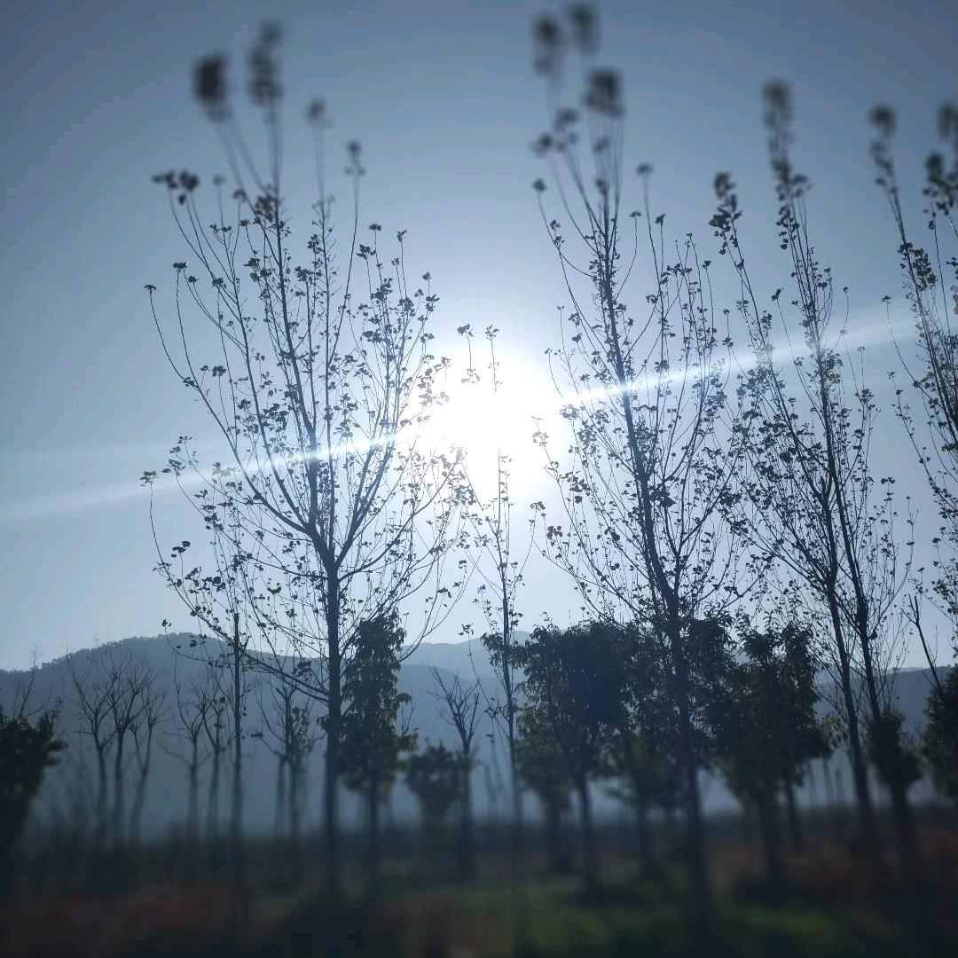 时光温热