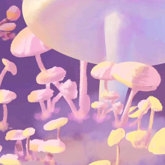 艳艳《拒连秒赞》