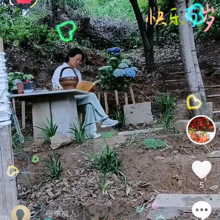 大雁的小院