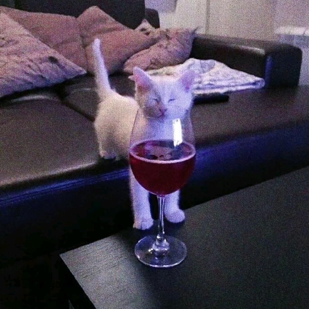 ˉ