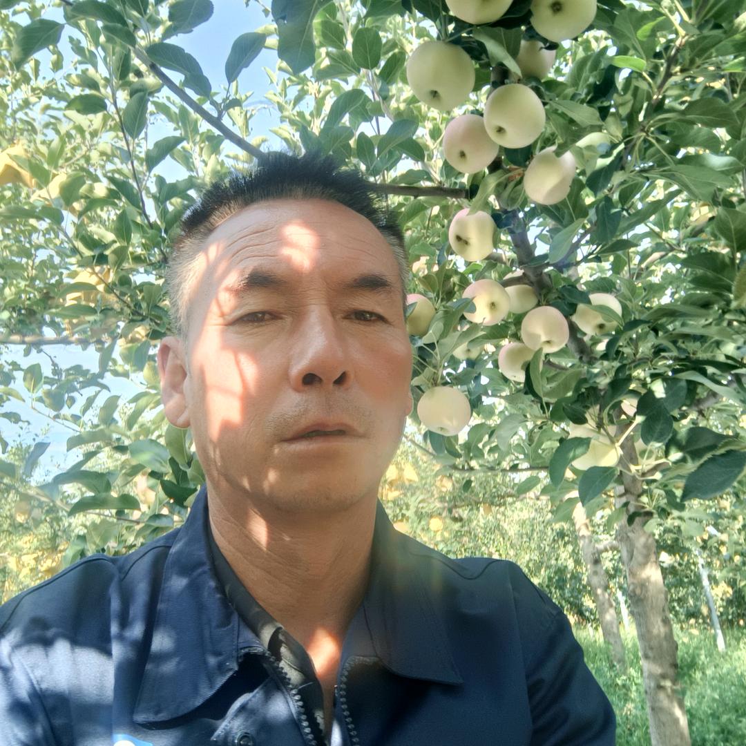 苹果红哥