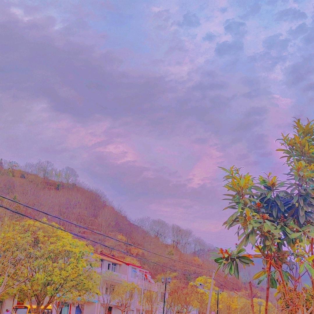 黄胡英杨
