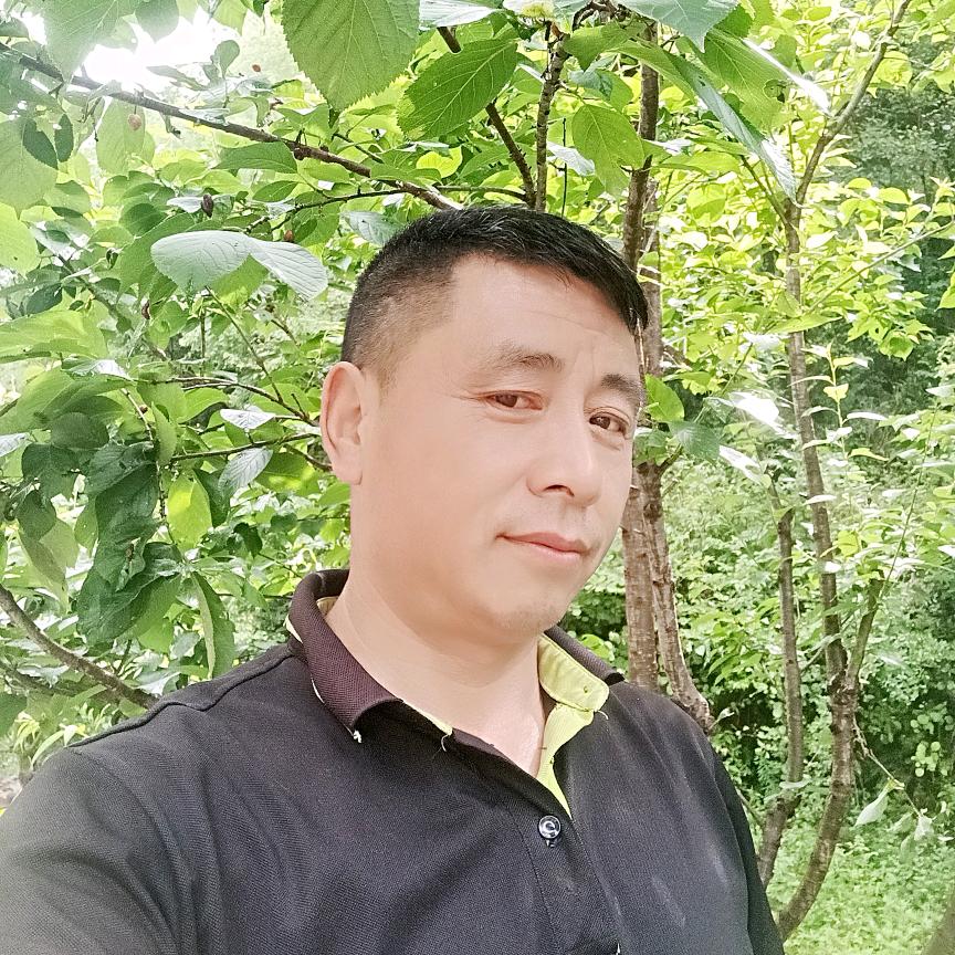 明哥