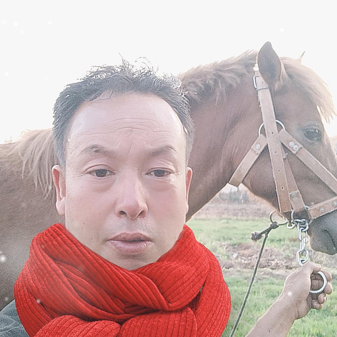 班班，马车游全国