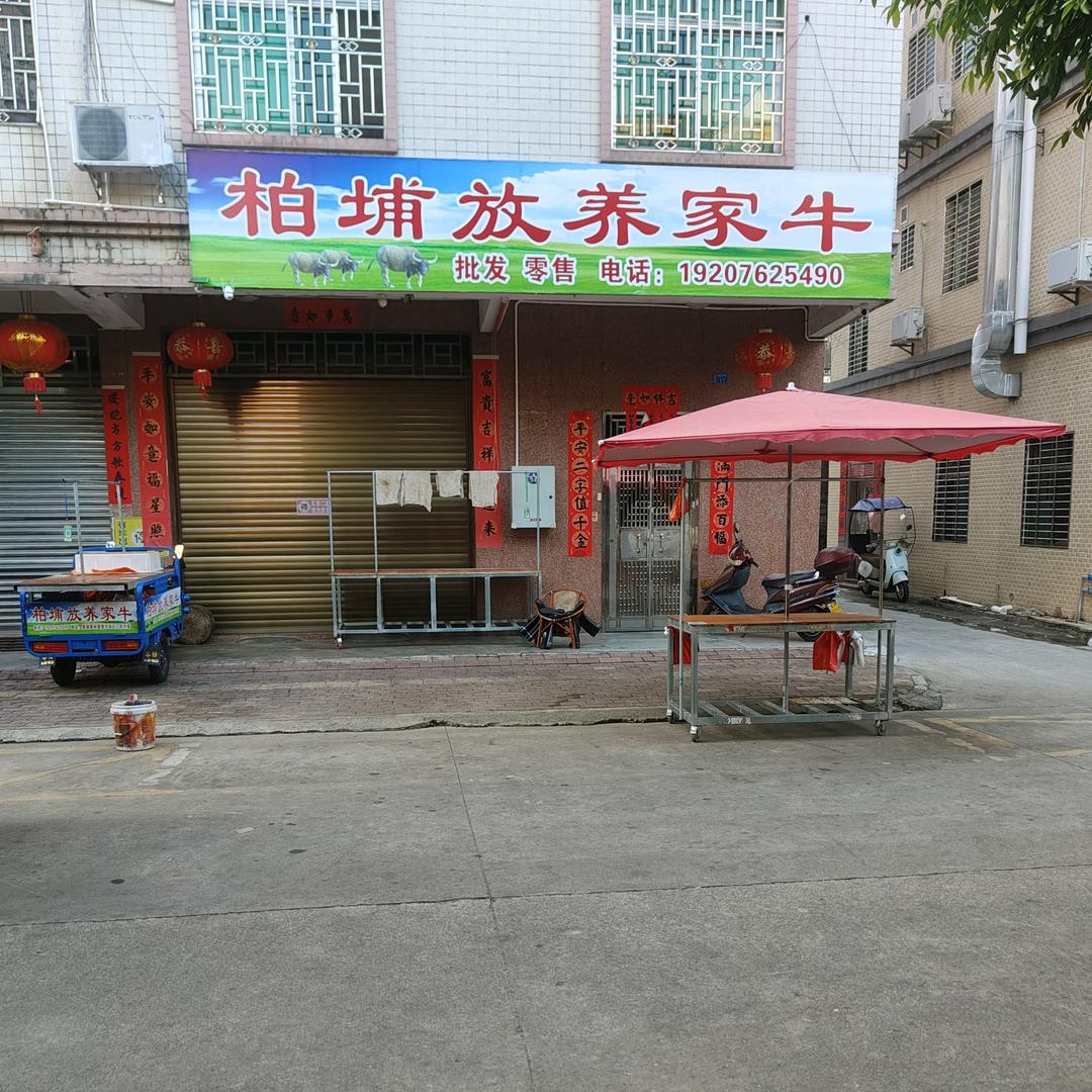 紫金杨屋墩柏埔放羊家牛（生鲜）
