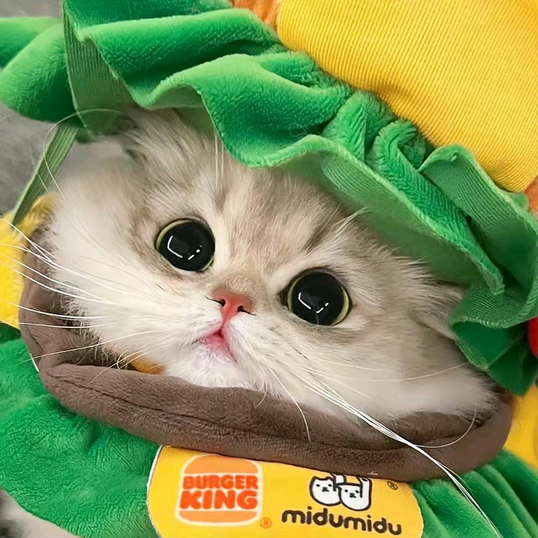 开星（三角洲行动）