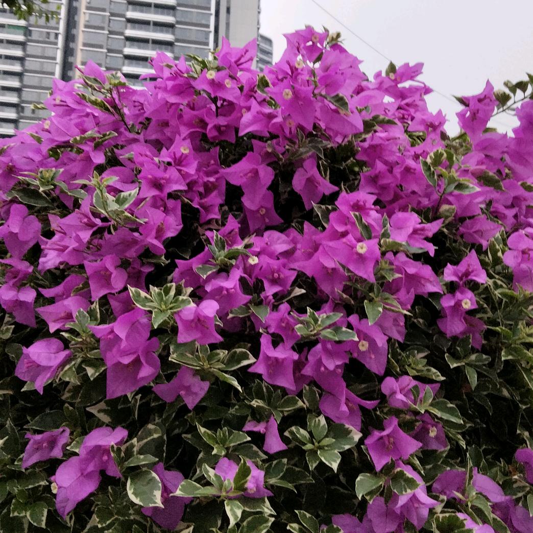 张姐