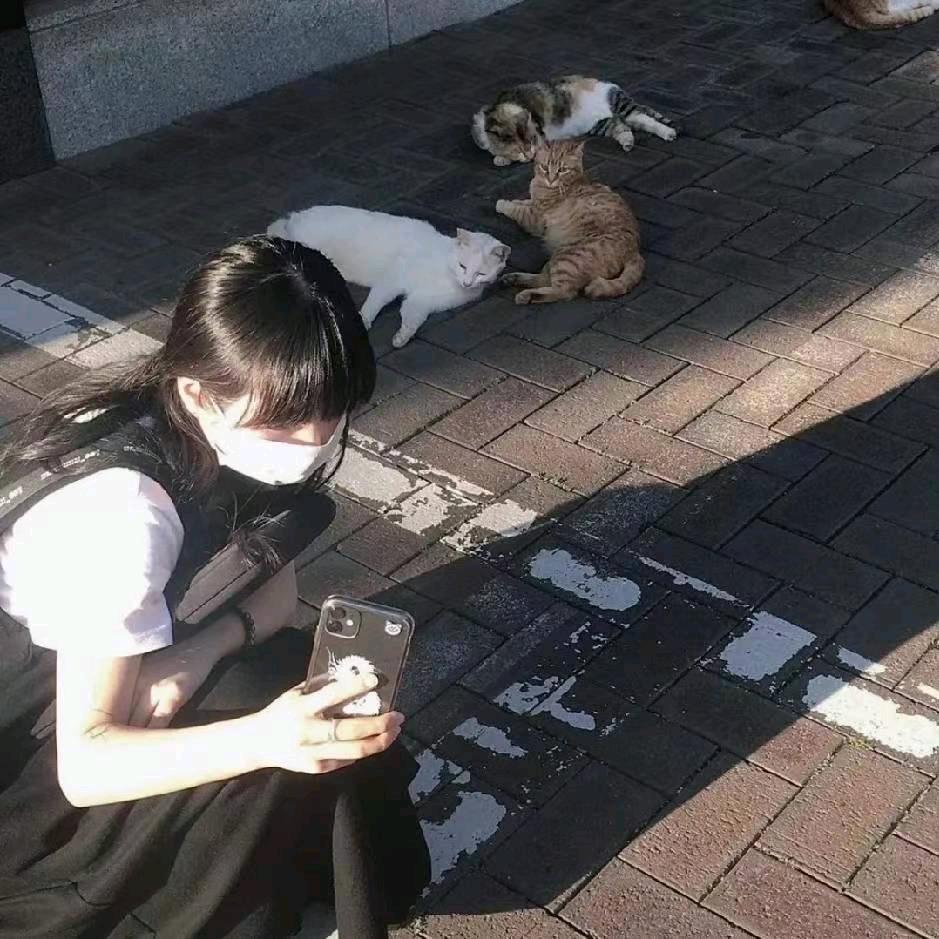 脆薯海盐饼
