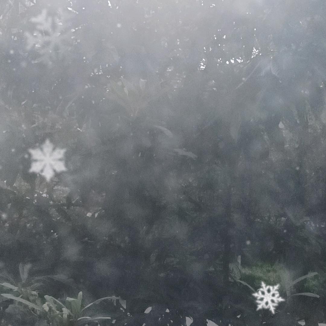 米奇giaogiao屋