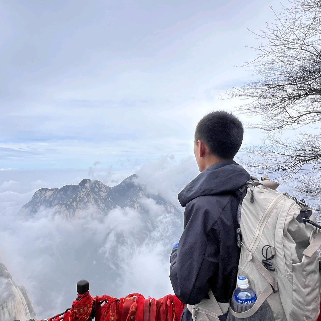 山东丰土绿化