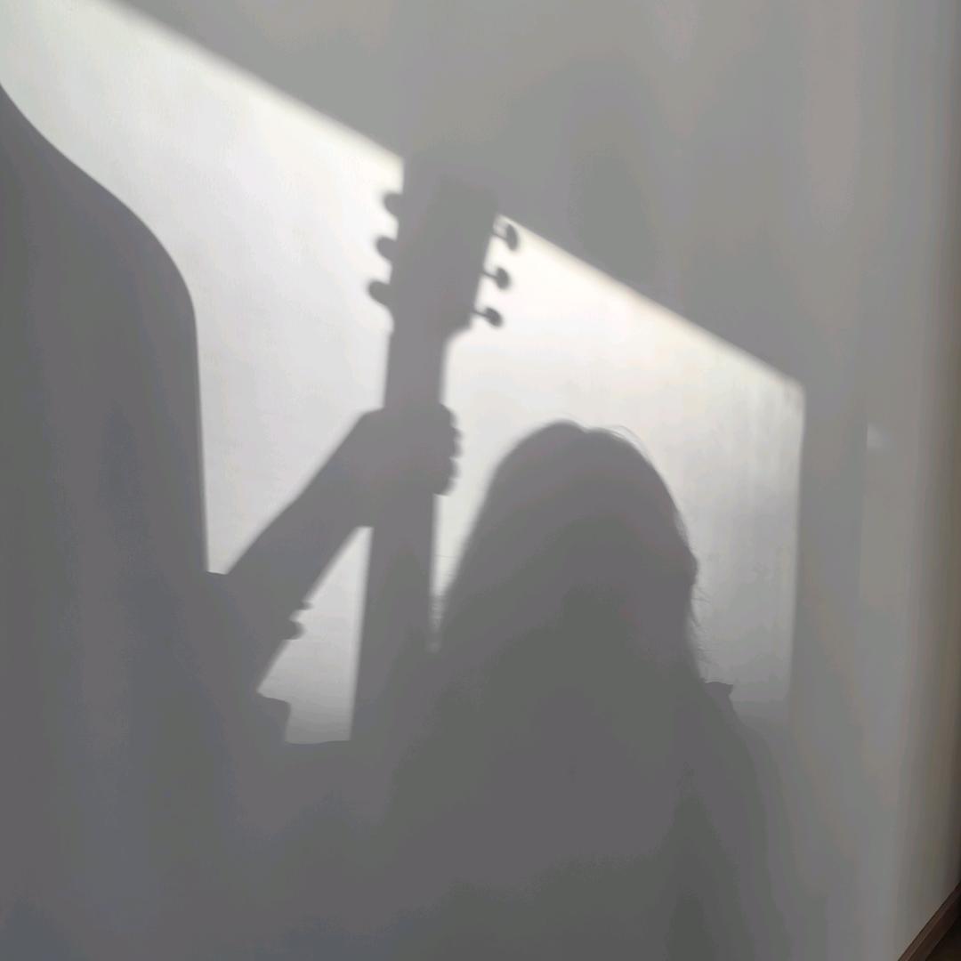 冷淡的一只大鹅