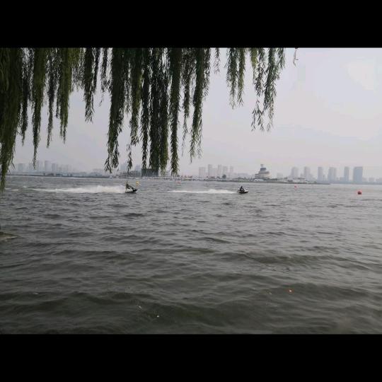 鱼乐园水族春园店