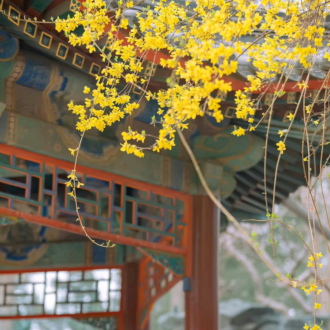 小π同学