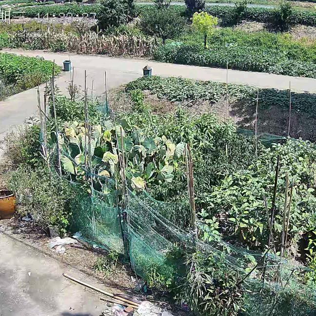 恭敬不一定从命