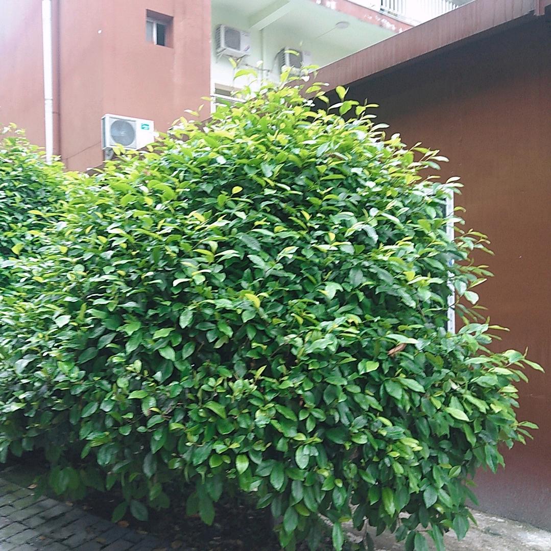 苦尽甘来