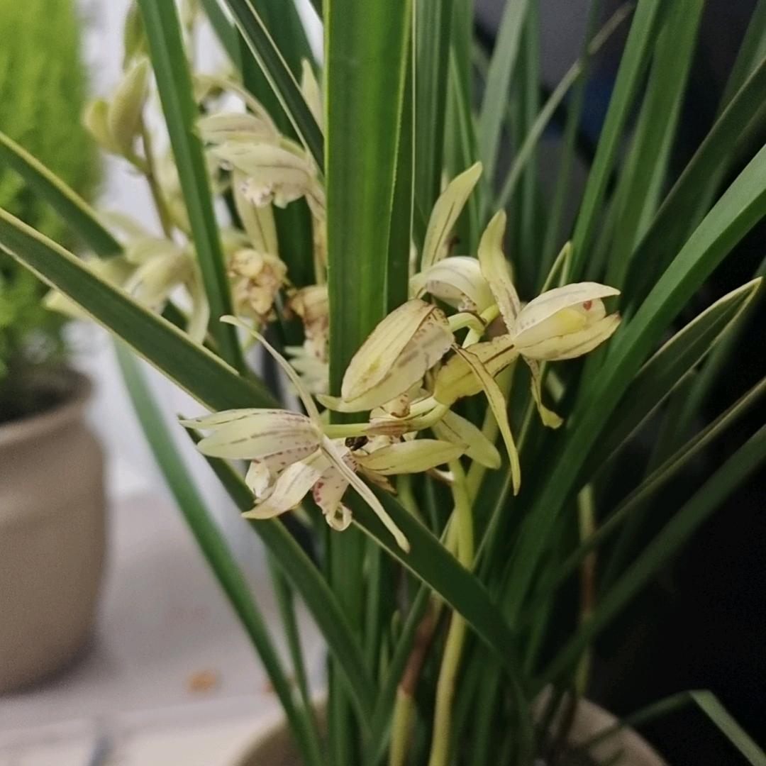 知行合一