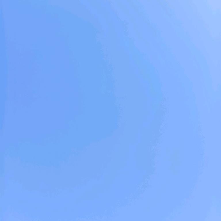 李
