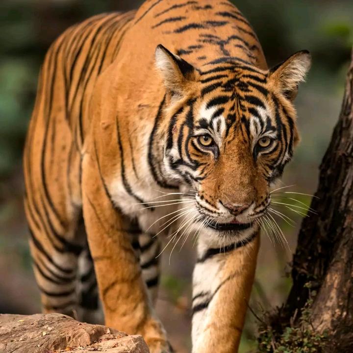 源头厂家直销批发