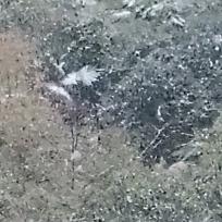 浪人醉酒