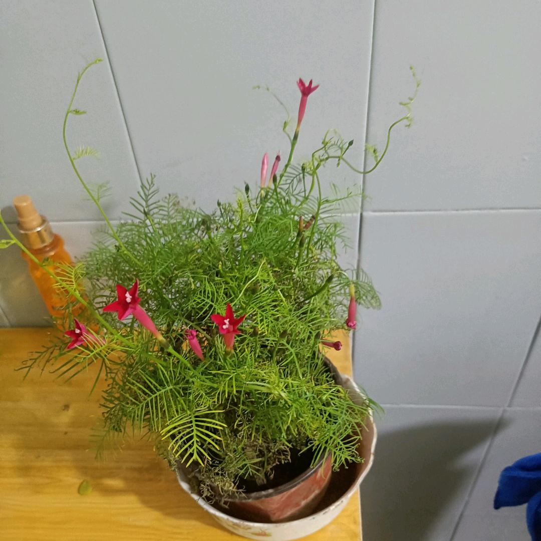 一转身就是一辈子