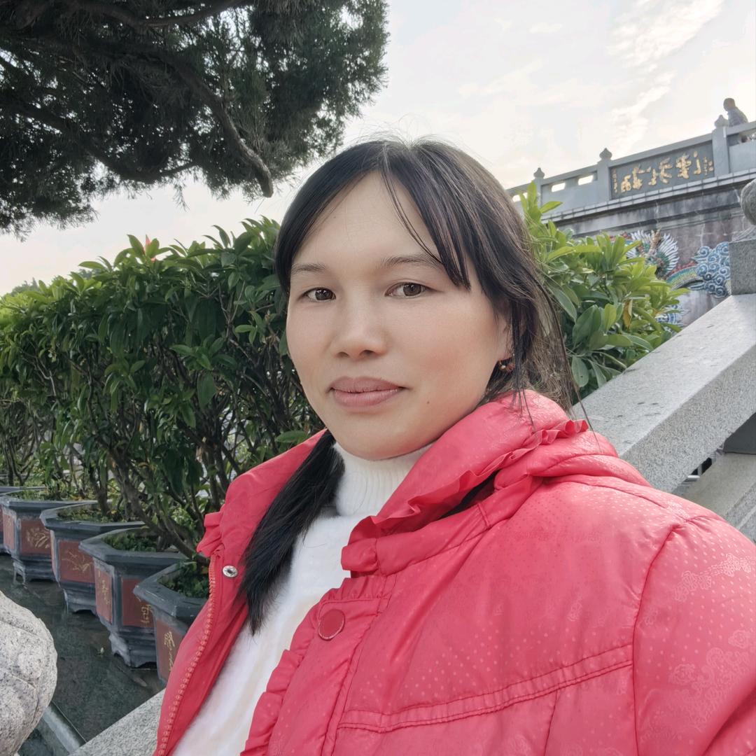 素非树