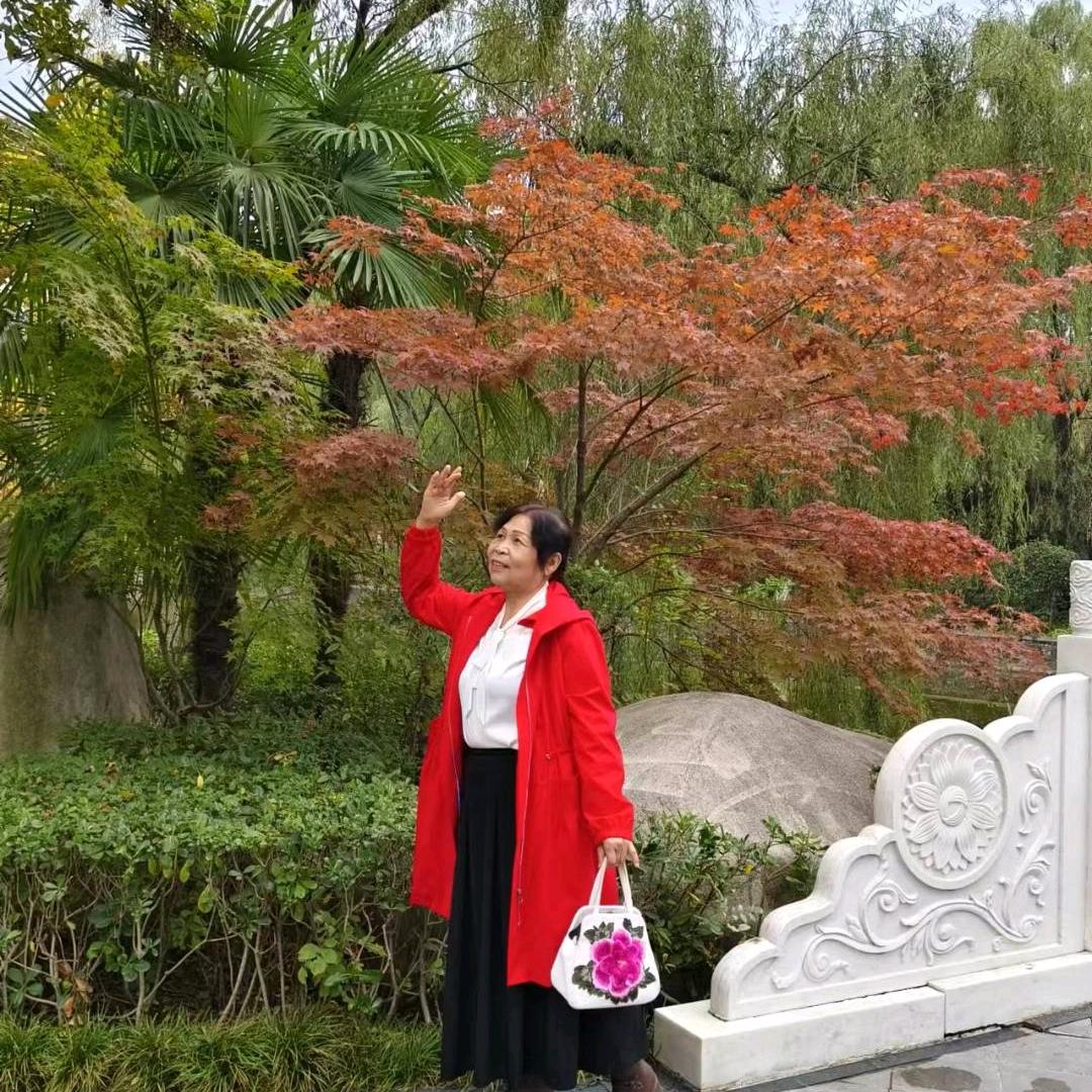 齐齐
