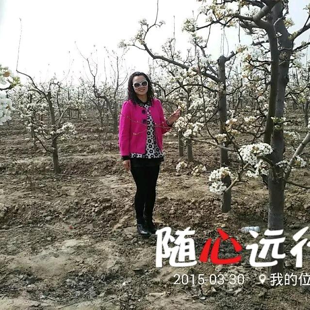 财源广进