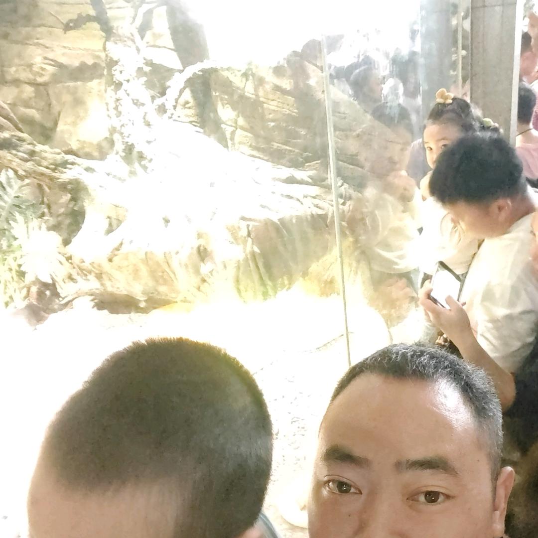 松哥聊戒烟
