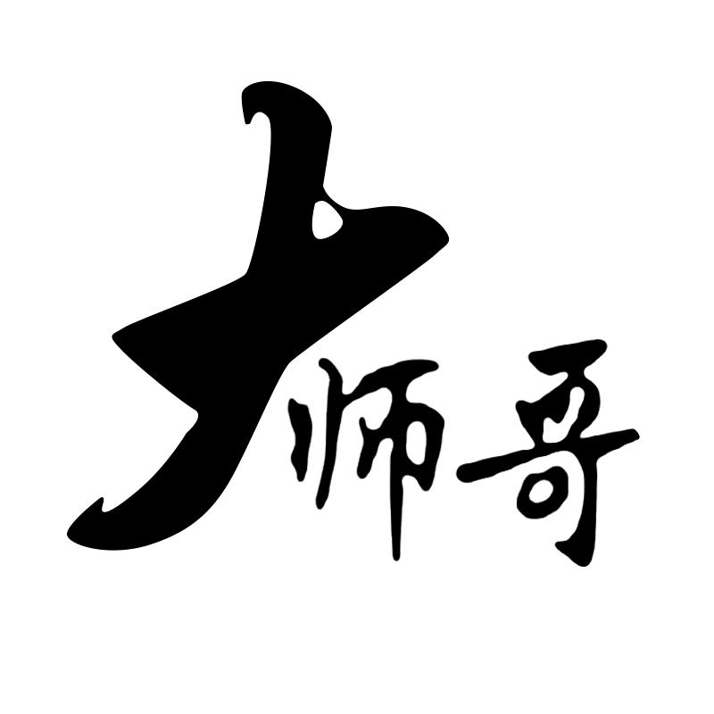 大师哥酷壳数码专卖店